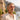 Fairmont Pilot Sunglasses — source image position 46
